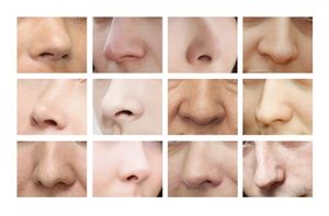 Древний климат повлиял на форму вашего носа