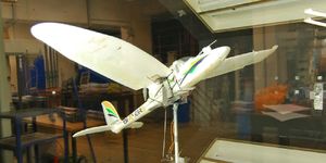 Британские инженеры разработали прототип дрона с «птичьими» крыльями