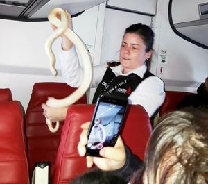 В США потерявшуюся на борту самолета змею помогли найти пассажиры