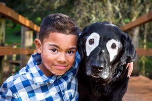 Мальчика и собаку объединила болезнь