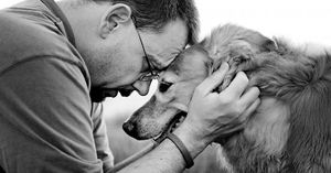 Почему потерять собаку иногда тяжелее, чем потерять друга или родственника…