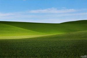 Китайский фотограф случайно сделал копию обоев Windows XP