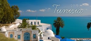 Украинские туристы требуют Тунис