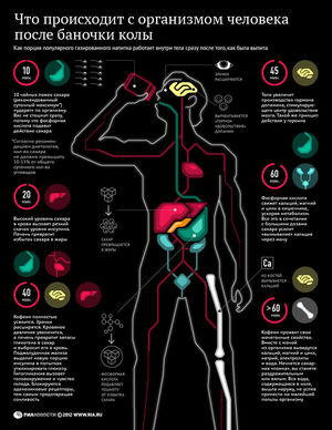 Что происходит с организмом человека после одной банки кока-колы