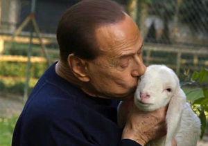 Экс-премьер Италии Сильвио Берлускони спас с бойни ягнят. Поступок, достойный восхищения!