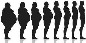 7 важных факторов, влияющих на наш вес 
