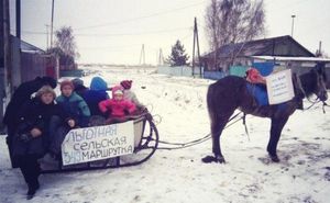 «Зато экологично»: В Омске автобус заменили на маршрутные сани с лошадью