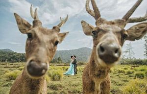 Прикольные свадебные фотографии (20 шт)