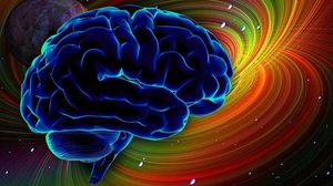 Neuralink Илона Маска. Часть вторая: мозг