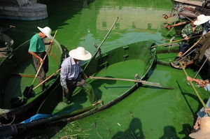 Буйство красок китайского озера Чаоху