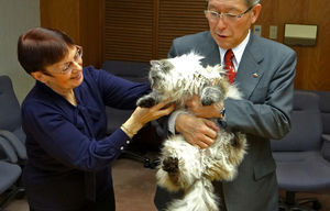 Японский губернатор рассказал о коте, которого ему подарил Путин