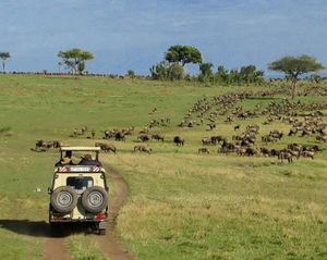 Самое дорогое в мире путешествие по Африке стоит 260.000$