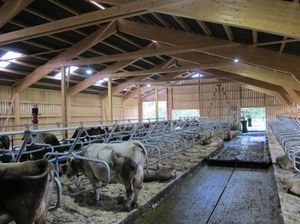 Поилки для коров из подручных материалов