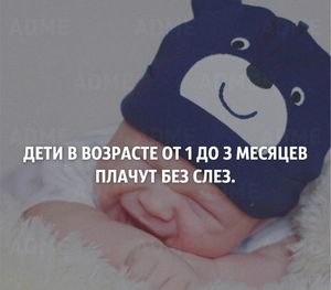 Интересности