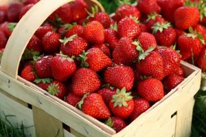 Сезон клубники открыт: как выбрать самые полезные ягоды