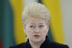 Новый виток пропаганды: президент Литвы назвала РФ основной проблемой Прибалтики