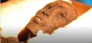 Анализ ДНК почти сотни египетских мумий шокировал ученых! Ого!