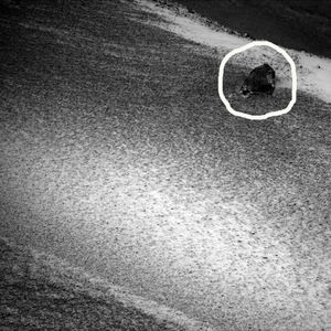 На фото с Марса разглядели странные символы на камнях