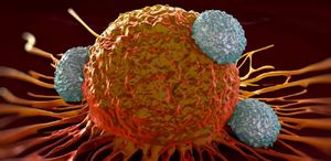 При помощи иммунотерапии удалось победить самый агрессивный тип рака груди