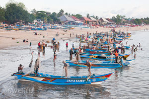 Рыбаки и рыба. Джимбаран, Бали
