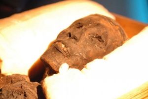 Анализ ДНК почти сотни египетских мумий шокировал ученых