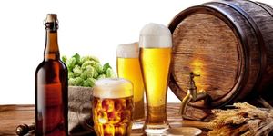 Как пиво влияет на организм — вред и польза употребления