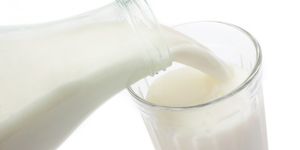 Молочный белок — суточная потребность и недостаток белка