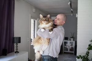 В Финляндии возможно живет самый крупный кот в мире