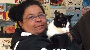 В Канаде пропавший кот нашелся через двенадцать лет