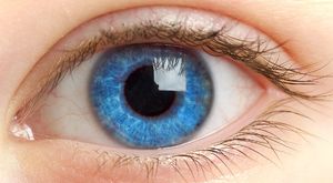 Финские учёные создали искусственную радужную оболочку глаза