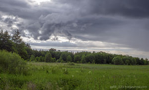 На Ивана Купала