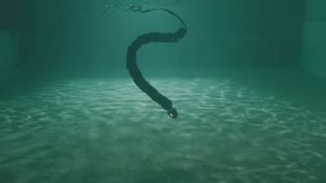 Подводный робот-змея поможет чинить сооружения