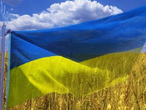 «Заслуживает в табло»: украинцам рассказали, как общаться с миротворцами