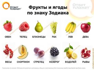 Что вы за фрукт такой?