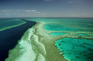 ТУРИЗМ, ПУТЕШЕСТВИЯ, ЭКСКУРСИИ. Большой Барьерный риф (Great Barrier Reef)