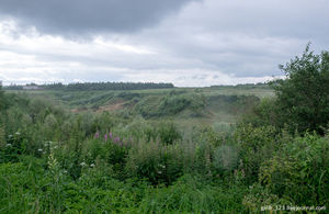 Что такое вертоград?