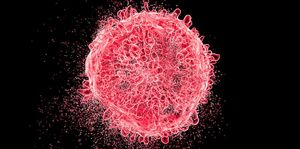 Терапия Т-клетками доказала эффективность при лечении лейкемии