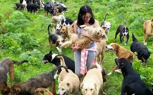 «Земля странников» в Коста-Рике – настоящий рай для собак.