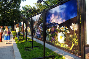 Фотовыставка "Цветы мира" на Тверском бульваре