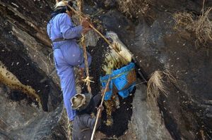 Охотники за медом в Гималаях