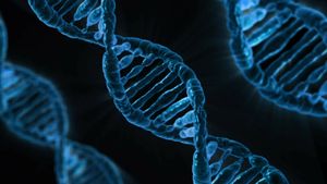 «Темная ДНК» может изменить наше представление об эволюции