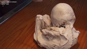 Ученые изучают пятую из «инопланетных» мумий Наска, скорченную в позе младенца