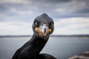 Красивейшие фотографии природы этой недели