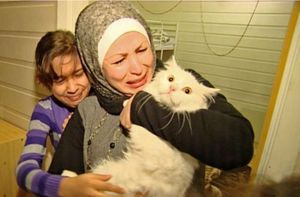 Потерявшийся кот вернулся в семью иракских беженцев, преодолев полмира за полтора месяца.....