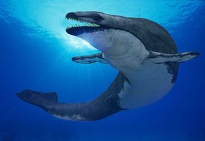 Древние усатые киты оказались зубастыми хищниками