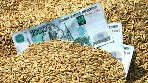 США прогнозируют лидерство России в мировом экспорте пшеницы