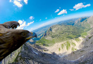 Как выглядят Альпы с высоты полета орла