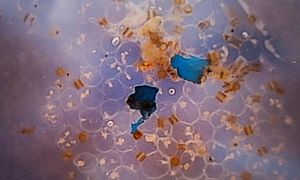 Ученые по всему миру в составе морской соли находят пластик