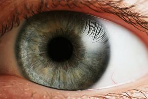 Разработан метод создания живой сетчатки глаза при помощи 3D-печати