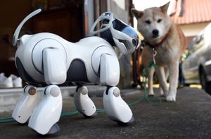 Sony выпустит обновлённую версию легендарного робота Aibo